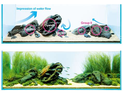 ada aquascape|ADA .